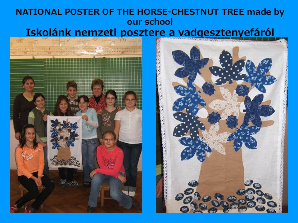 NATIONAL POSTER OF THE HORSE-CHESTNUT TREE made by our school Iskolánk nemzeti posztere a vadgesztenyefáról