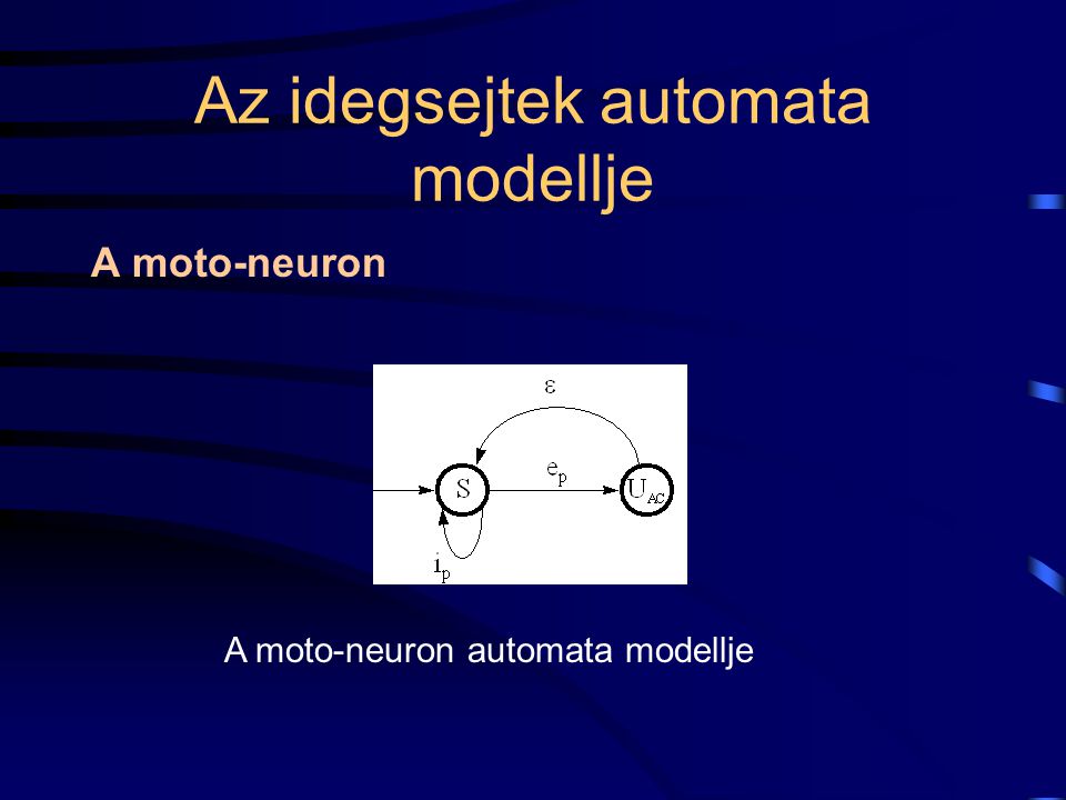 Az idegsejtek automata modellje A moto-neuron A moto-neuron automata modellje