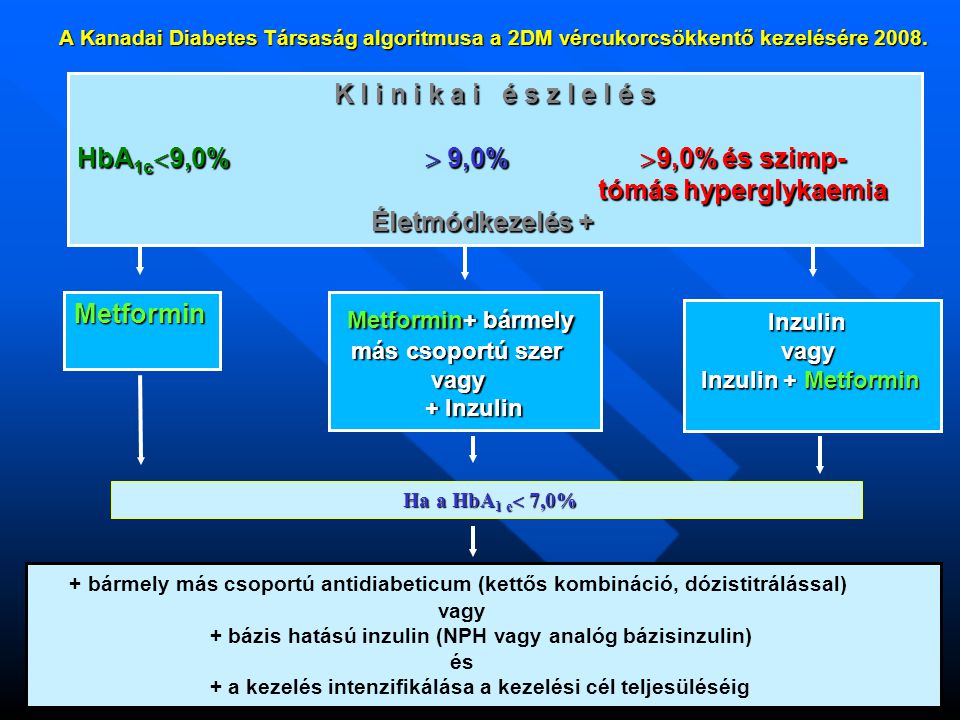K l i n i k a i é s z l e l é s K l i n i k a i é s z l e l é s HbA 1c  9,0%  9,0%  9,0% és szimp- tómás hyperglykaemia tómás hyperglykaemia Életmódkezelés + Életmódkezelés + Metformin Metformin+ bármely más csoportú szer más csoportú szer vagy vagy + Inzulin + Inzulin Inzulin Inzulin vagy vagy Inzulin + Metformin Inzulin + Metformin + bármely más csoportú antidiabeticum (kettős kombináció, dózistitrálással) vagy + bázis hatású inzulin (NPH vagy analóg bázisinzulin) és + a kezelés intenzifikálása a kezelési cél teljesüléséig A Kanadai Diabetes Társaság algoritmusa a 2DM vércukorcsökkentő kezelésére 2008.