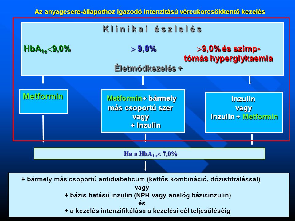 K l i n i k a i é s z l e l é s K l i n i k a i é s z l e l é s HbA 1c  9,0%  9,0%  9,0% és szimp- tómás hyperglykaemia tómás hyperglykaemia Életmódkezelés + Életmódkezelés + Metformin Metformin+ bármely más csoportú szer más csoportú szer vagy vagy + Inzulin + Inzulin Inzulin Inzulin vagy vagy Inzulin + Metformin Inzulin + Metformin + bármely más csoportú antidiabeticum (kettős kombináció, dózistitrálással) vagy + bázis hatású inzulin (NPH vagy analóg bázisinzulin) és + a kezelés intenzifikálása a kezelési cél teljesüléséig Az anyagcsere-állapothoz igazodó intenzitású vércukorcsökkentő kezelés Ha a HbA 1 c  7,0% Ha a HbA 1 c  7,0%
