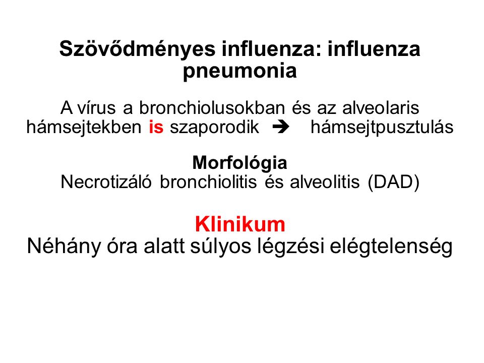Szövődményes influenza: influenza pneumonia A vírus a bronchiolusokban és az alveolaris hámsejtekben is szaporodik  hámsejtpusztulás Morfológia Necrotizáló bronchiolitis és alveolitis (DAD) Klinikum Néhány óra alatt súlyos légzési elégtelenség