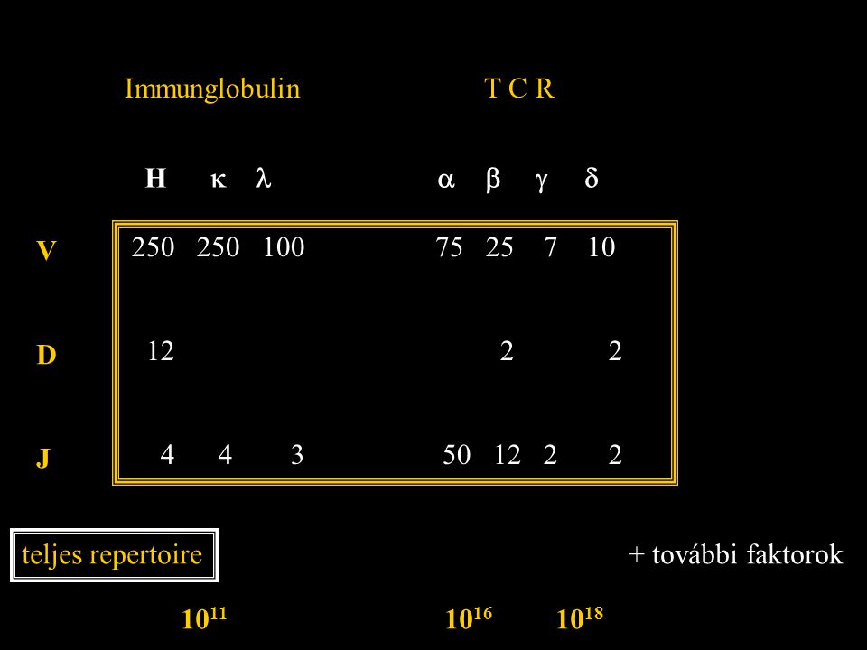H   Immunglobulin T C R VDJVDJ teljes repertoire további faktorok