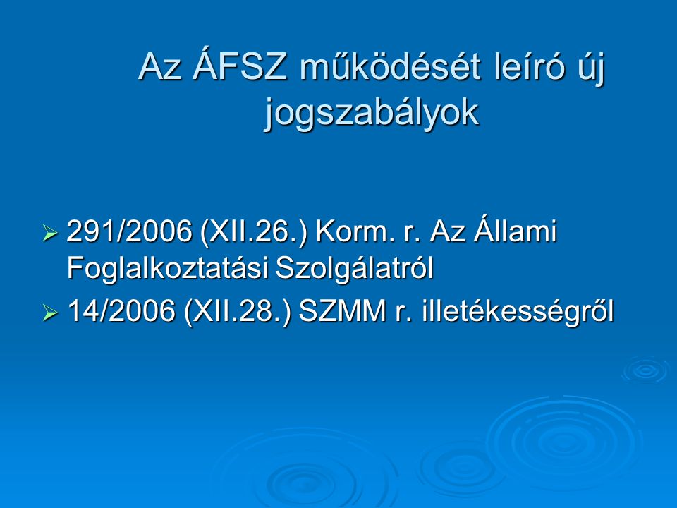 Az ÁFSZ működését leíró új jogszabályok  291/2006 (XII.26.) Korm.
