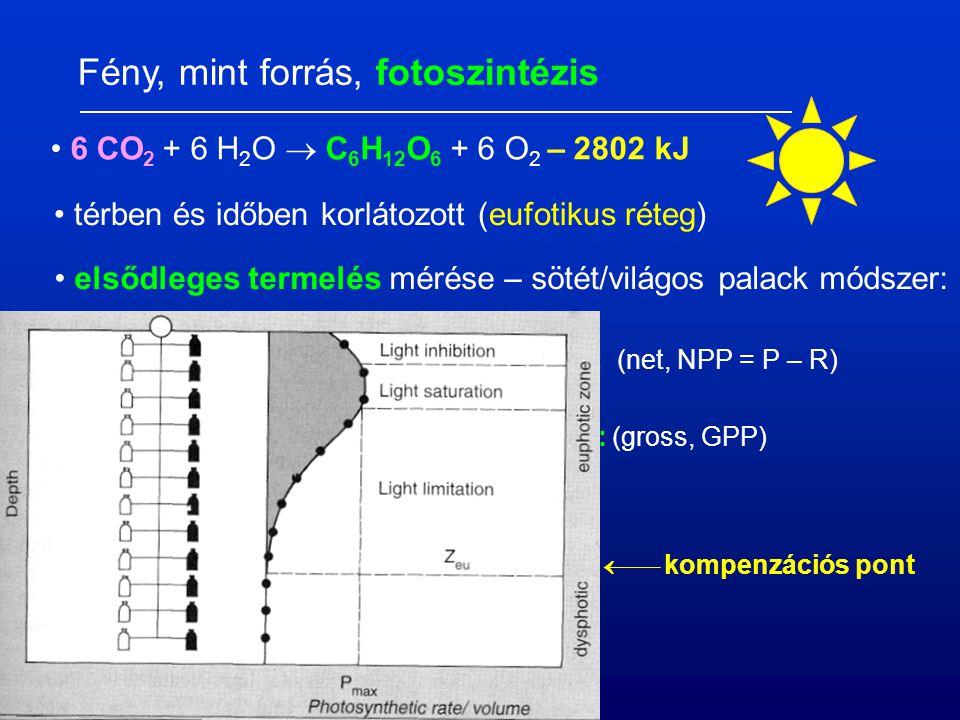 Fény, mint forrás, fotoszintézis 6 CO H 2 O  C 6 H 12 O O 2 – 2802 kJ térben és időben korlátozott (eufotikus réteg)‏ elsődleges termelés mérése – sötét/világos palack módszer: O 2 : (net, NPP = P – R)‏ 14 CO 2 : (gross, GPP)‏  kompenzációs pont