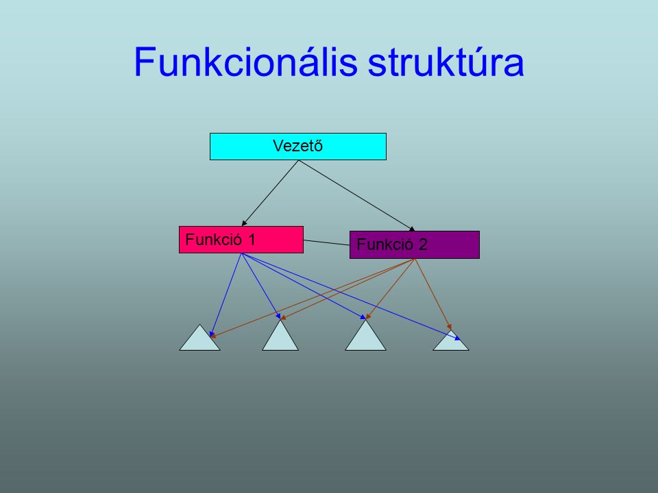 Funkcionális struktúra Vezető Funkció 1 Funkció 2