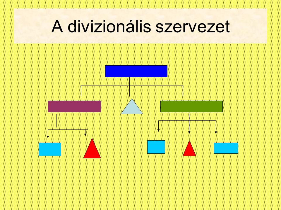 A divizionális szervezet