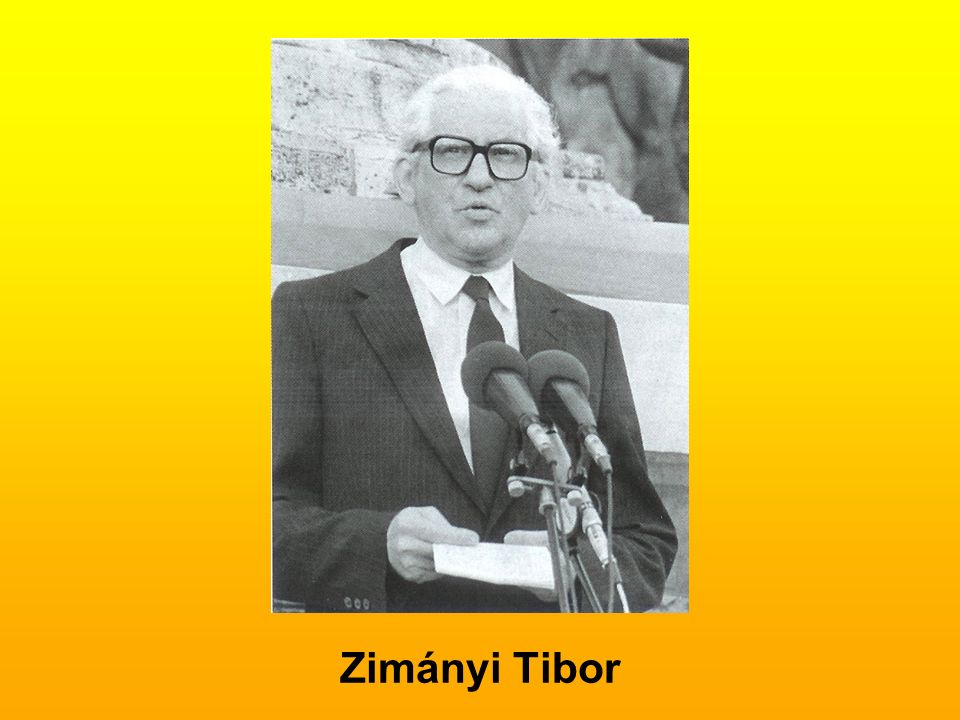 Zimányi Tibor