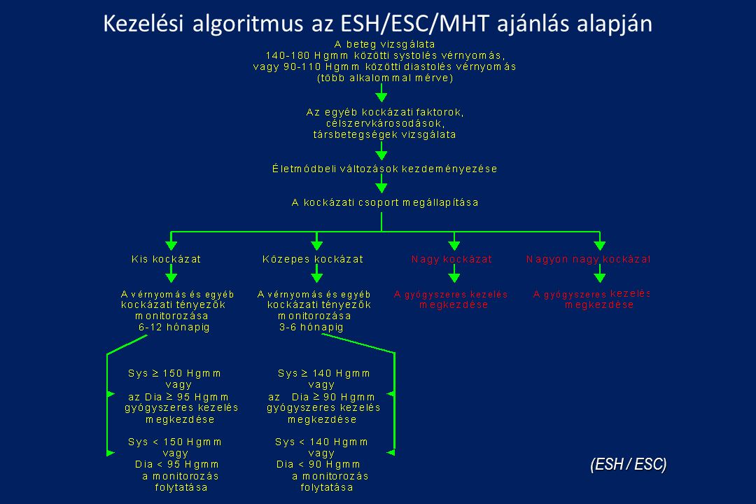 A 2-es típusú diabetes mellitus megjelenési gyakorisága a magyar hypertoniás populációban | eLitMed