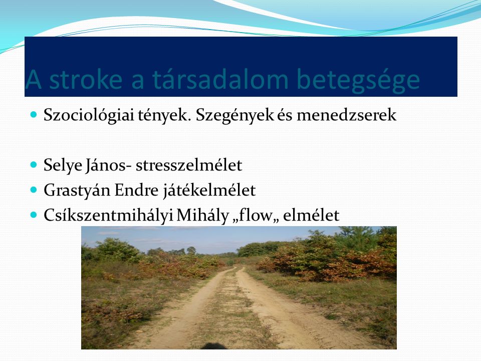 A stroke a társadalom betegsége Szociológiai tények.