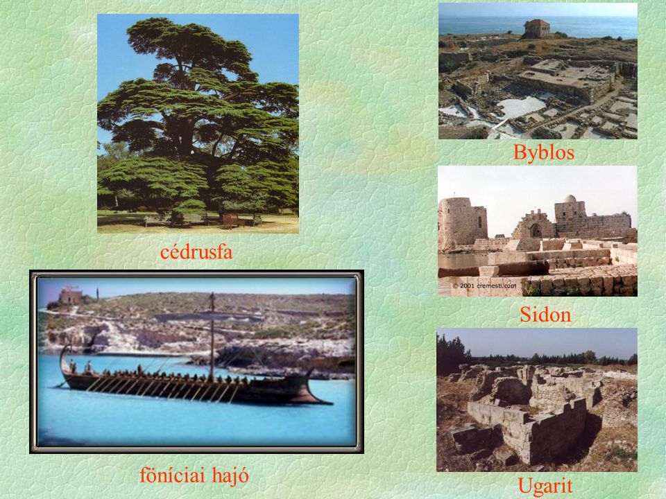 Byblos Sidon Ugarit cédrusfa föníciai hajó