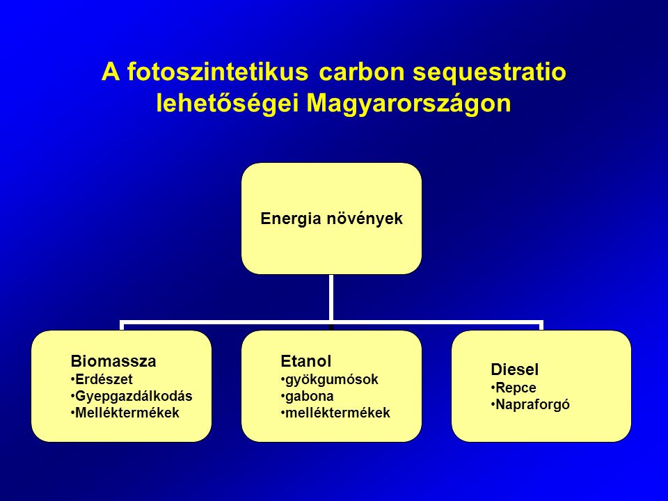 A fotoszintetikus carbon sequestratio lehetőségei Magyarországon Energia növények Biomassza Erdészet Gyepgazdálkodás Melléktermékek Etanol gyökgumósok gabona melléktermékek Diesel Repce Napraforgó