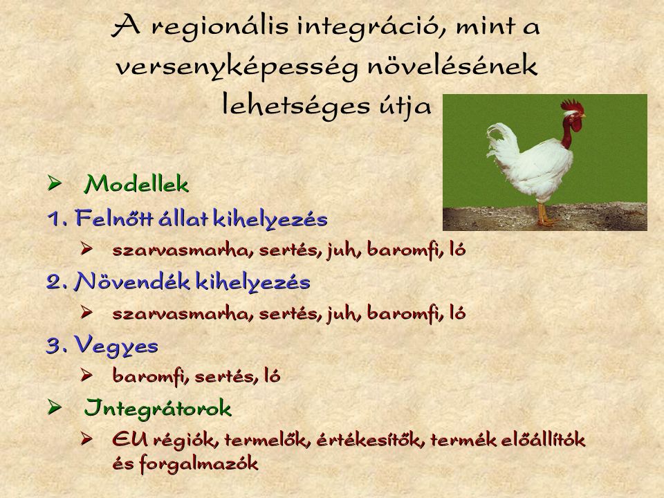 A regionális integráció, mint a versenyképesség növelésének lehetséges útja  Modellek 1.