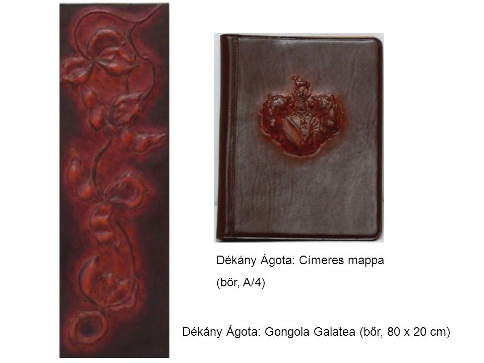 Dékány Ágota: Címeres mappa (bőr, A/4) Dékány Ágota: Gongola Galatea (bőr, 80 x 20 cm)