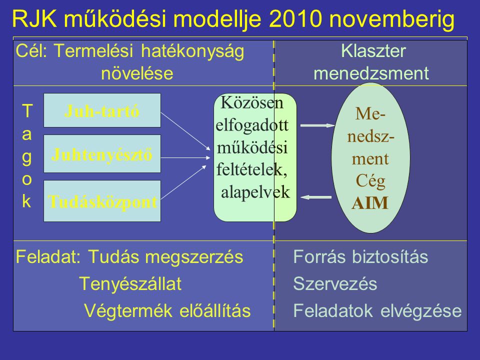 RJK működési modellje 2010 novemberig Cél: Termelési hatékonyság Klaszter növelése menedzsment Feladat: Tudás megszerzésForrás biztosítás TenyészállatSzervezés Végtermék előállításFeladatok elvégzése Juh-tartó Juhtenyésztő Tudásközpont Közösen elfogadott működési feltételek, alapelvek Me- nedsz- ment Cég AIM TagokTagok