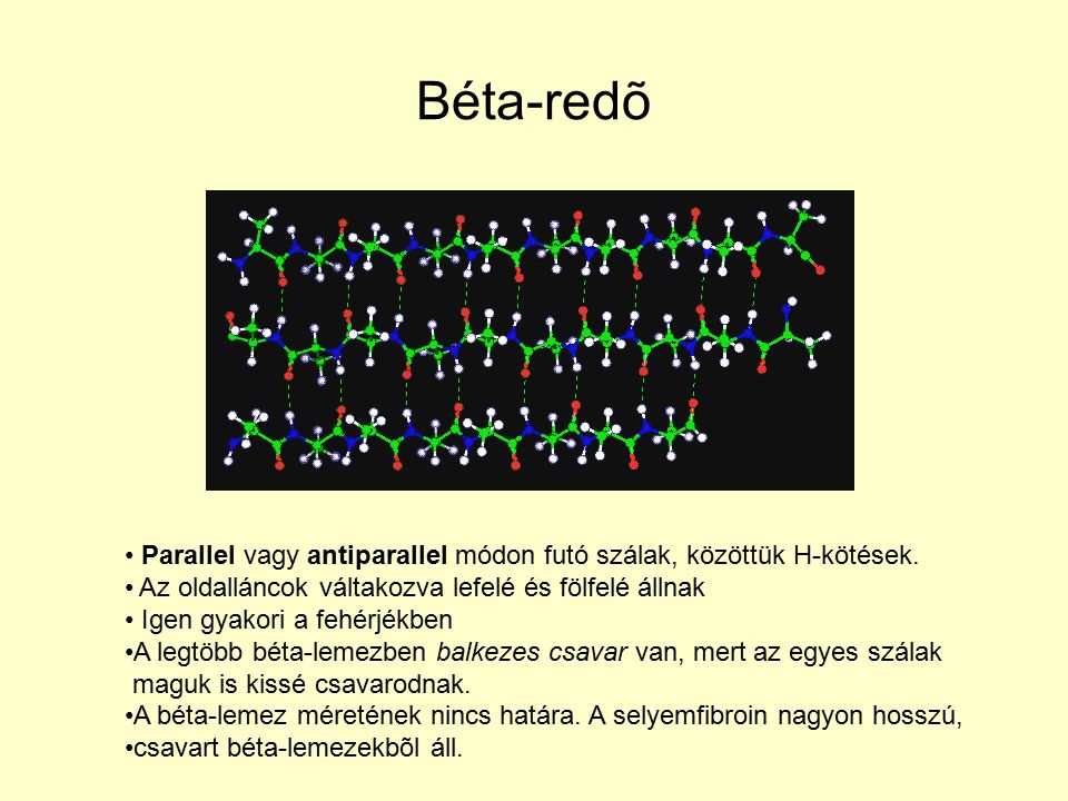 Béta-redõ Parallel vagy antiparallel módon futó szálak, közöttük H-kötések.