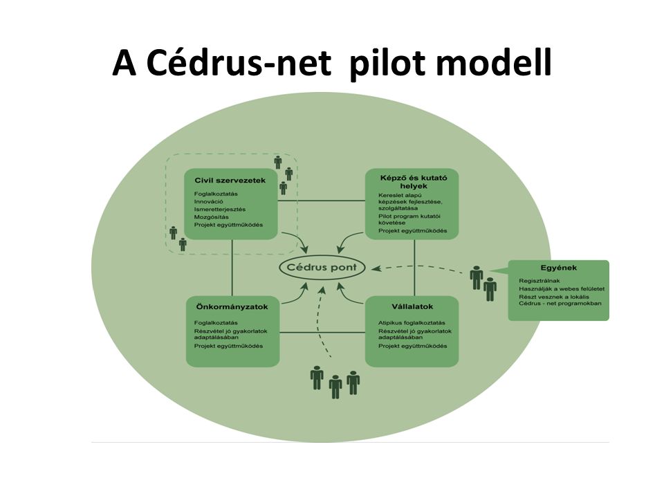 A Cédrus-net pilot modell