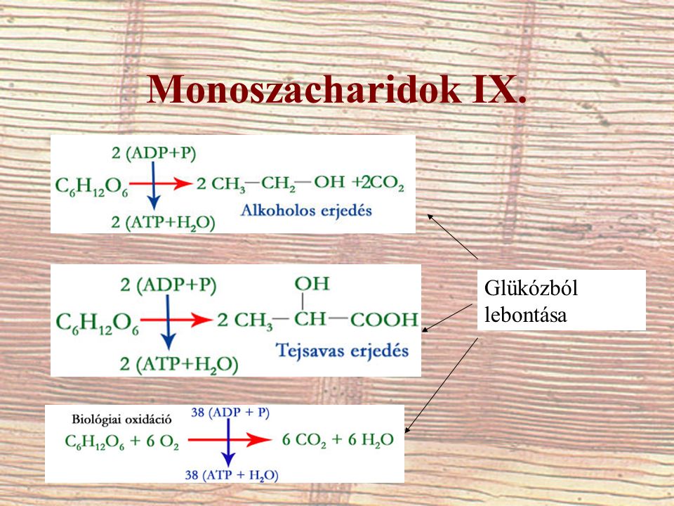 Monoszacharidok IX. Glükózból lebontása