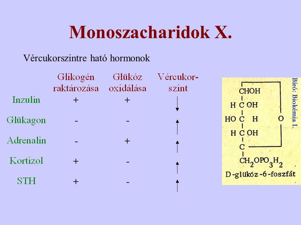 Monoszacharidok X. Vércukorszintre ható hormonok