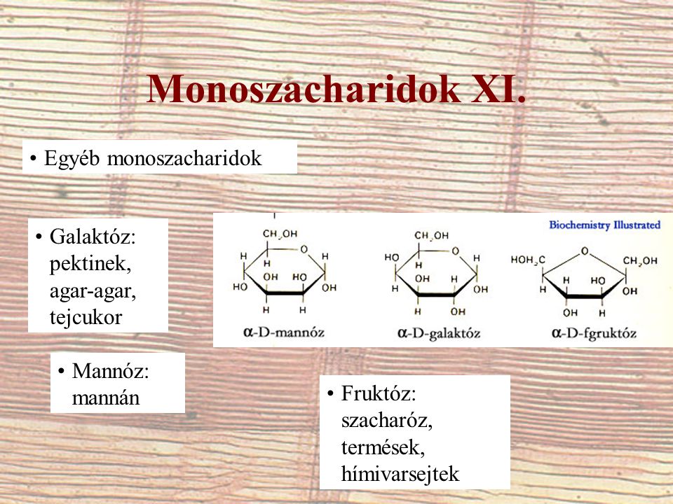 Monoszacharidok XI.
