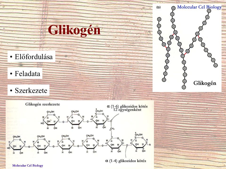 Glikogén Előfordulása Feladata Szerkezete
