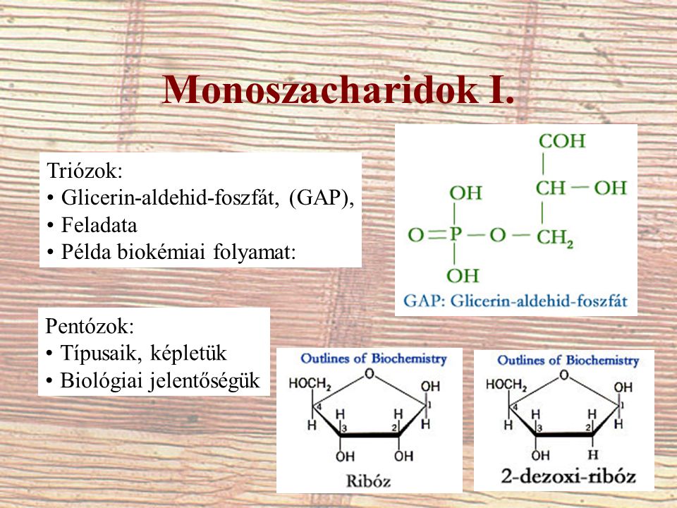 Monoszacharidok I.