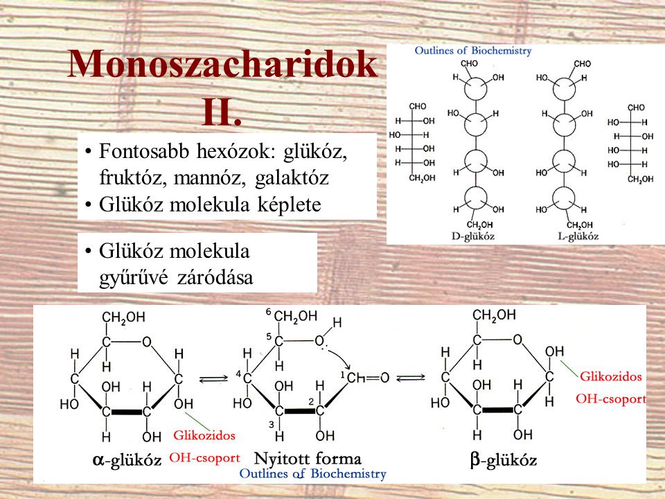 Monoszacharidok II.