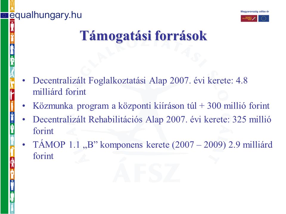 Decentralizált Foglalkoztatási Alap 2007.