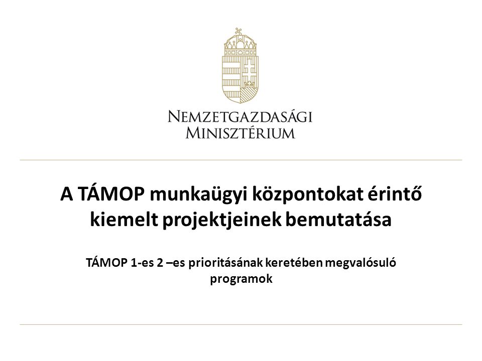 A TÁMOP munkaügyi központokat érintő kiemelt projektjeinek bemutatása TÁMOP 1-es 2 –es prioritásának keretében megvalósuló programok