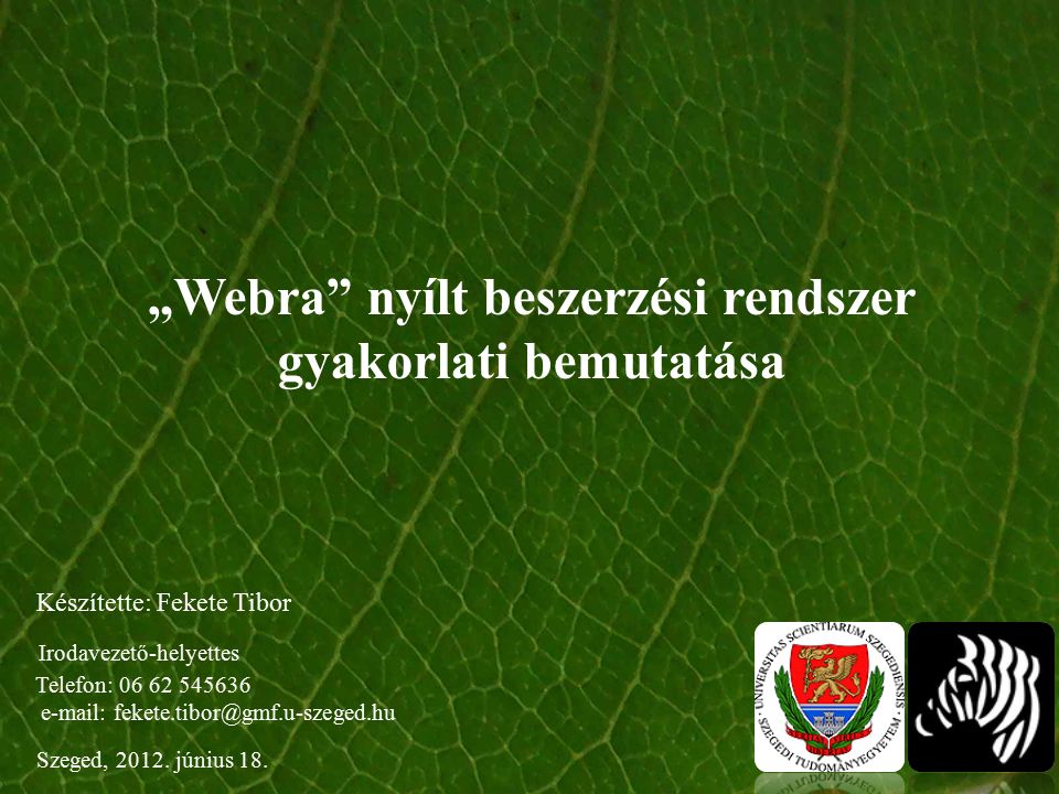„Webra nyílt beszerzési rendszer gyakorlati bemutatása Szeged, 2012.