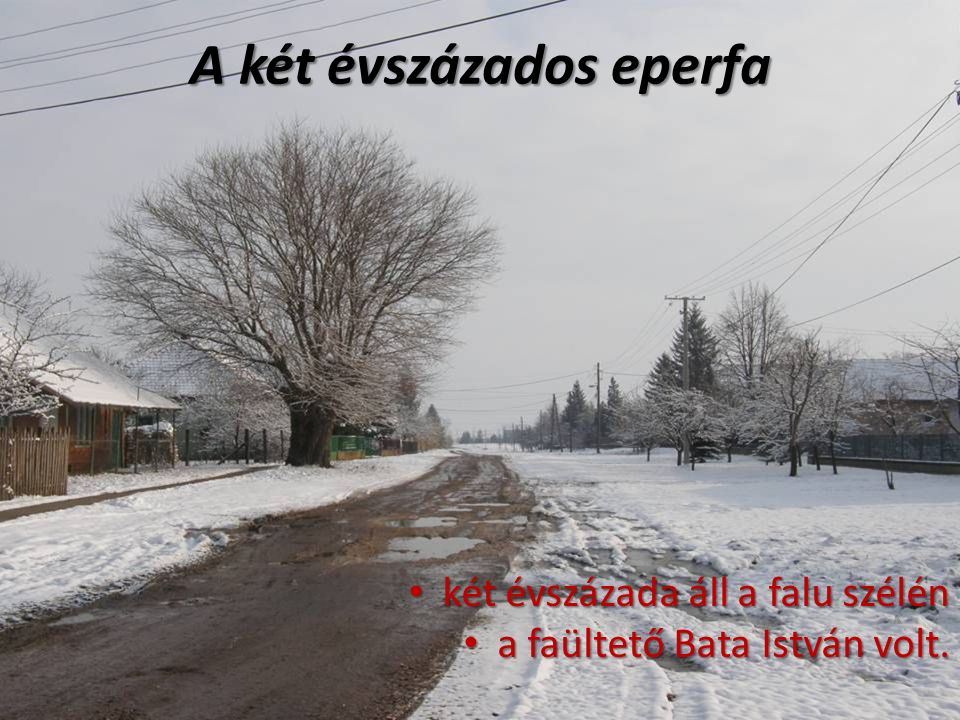 két évszázada áll a falu szélén két évszázada áll a falu szélén a faültető Bata István volt.