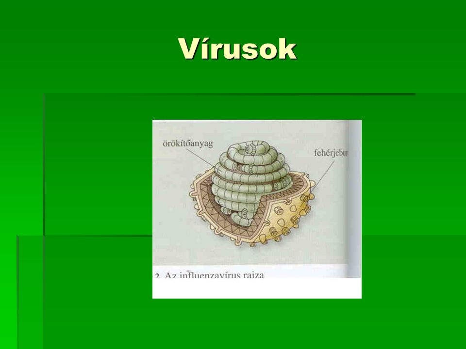 vírusok viroidok és prionok