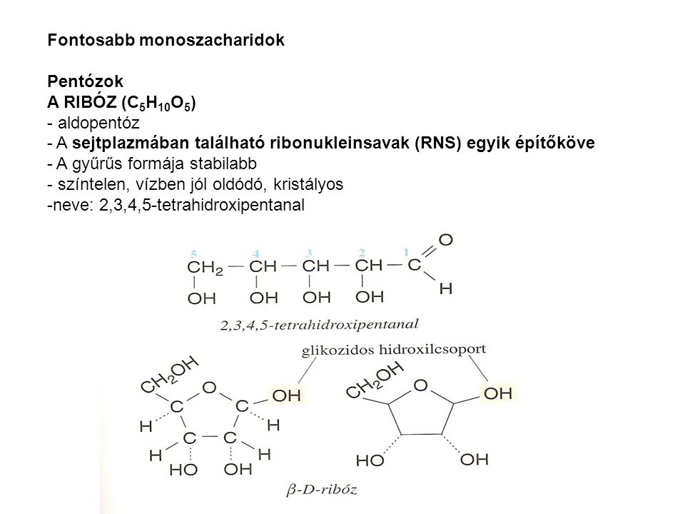 Fontosabb monoszacharidok Pentózok A RIBÓZ (C 5 H 10 O 5 ) - aldopentóz - A sejtplazmában található ribonukleinsavak (RNS) egyik építőköve - A gyűrűs formája stabilabb - színtelen, vízben jól oldódó, kristályos -neve: 2,3,4,5-tetrahidroxipentanal