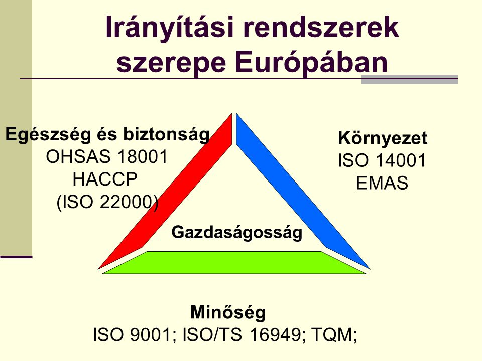 Irányítási rendszerek szerepe Európában Gazdaságosság Egészség és biztonság OHSAS HACCP (ISO 22000) Környezet ISO EMAS Minőség ISO 9001; ISO/TS 16949; TQM;