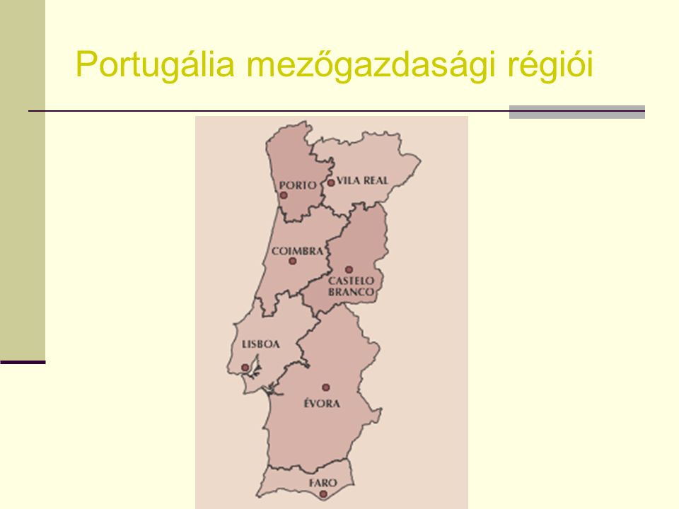 Ökológiai gazdálkodás – Portugália Portugáliának kitűnő adottságai vannak  Klimatikus adottságok  Őshonos és régen honosult fajok és fajták  Hagyományos mezőgazdasági rendszer, ami megkönnyíti az átállást