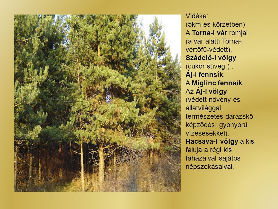 Vidéke: (5km-es körzetben) A Torna-i vár romjai (a vár alatti Torna-i vértőfű-védett).