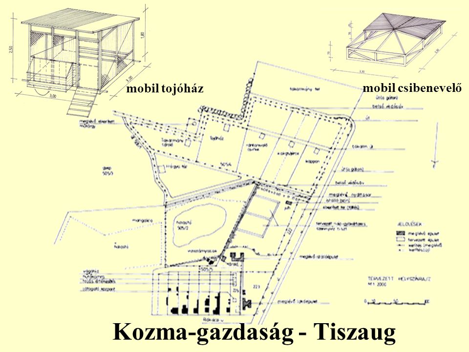 Kozma-gazdaság - Tiszaug mobil csibenevelő mobil tojóház
