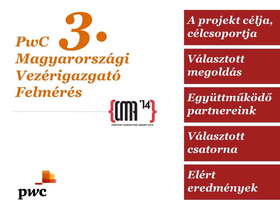Választott megoldás Együttműködő partnereink Választott csatorna Elért eredmények A projekt célja, célcsoportja PwC Magyarországi Vezérigazgató Felmérés 3.