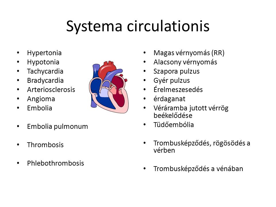 A bradycardia típusai: a fő tünetek
