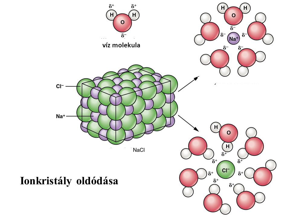 víz molekula Ionkristály oldódása