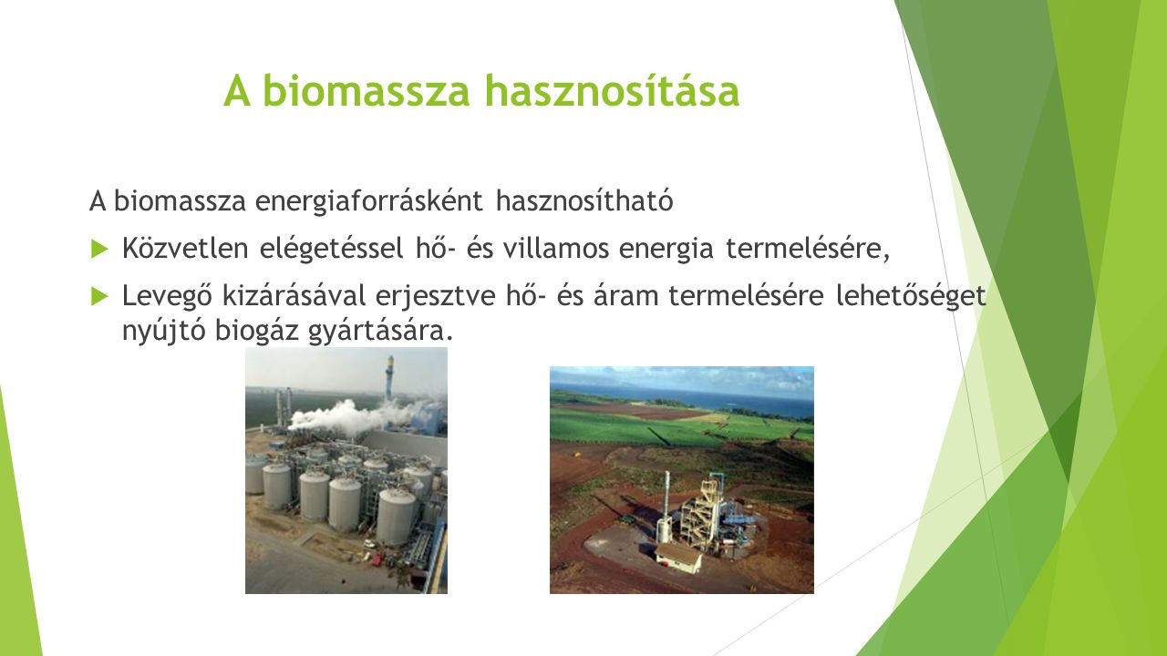 A biomassza hasznosítása A biomassza energiaforrásként hasznosítható  Közvetlen elégetéssel hő- és villamos energia termelésére,  Levegő kizárásával erjesztve hő- és áram termelésére lehetőséget nyújtó biogáz gyártására.