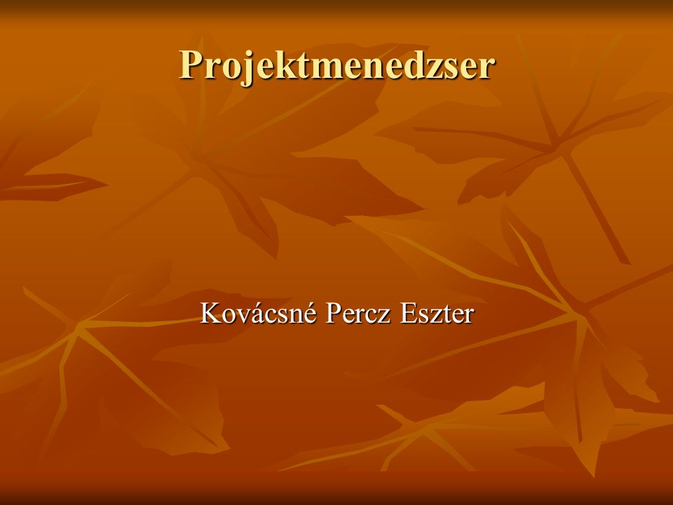 Projektmenedzser Kovácsné Percz Eszter