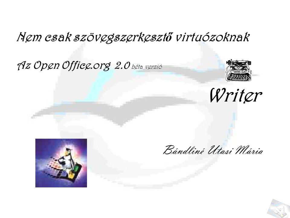 Nem csak szövegszerkeszt ő virtuózoknak Az Open Office.org 2.0 béta verzió Bándliné Utasi Mária Writer