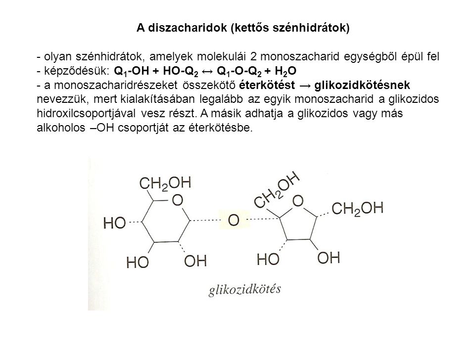 A diszacharidok (kettős szénhidrátok) - olyan szénhidrátok, amelyek molekulái 2 monoszacharid egységből épül fel - képződésük: Q 1 -OH + HO-Q 2 ↔ Q 1 -O-Q 2 + H 2 O - a monoszacharidrészeket összekötő éterkötést → glikozidkötésnek nevezzük, mert kialakításában legalább az egyik monoszacharid a glikozidos hidroxilcsoportjával vesz részt.