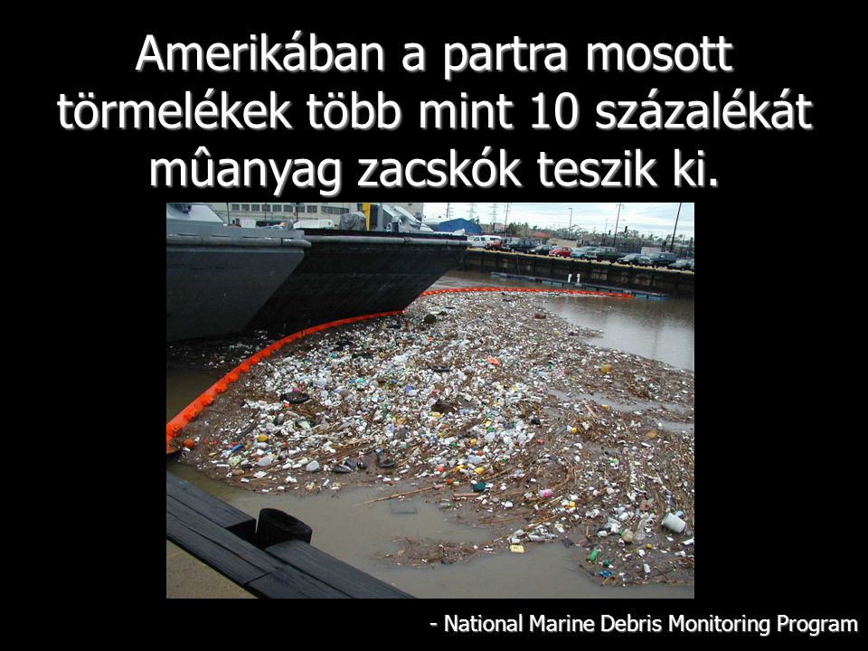 Amerikában a partra mosott törmelékek több mint 10 százalékát mûanyag zacskók teszik ki.