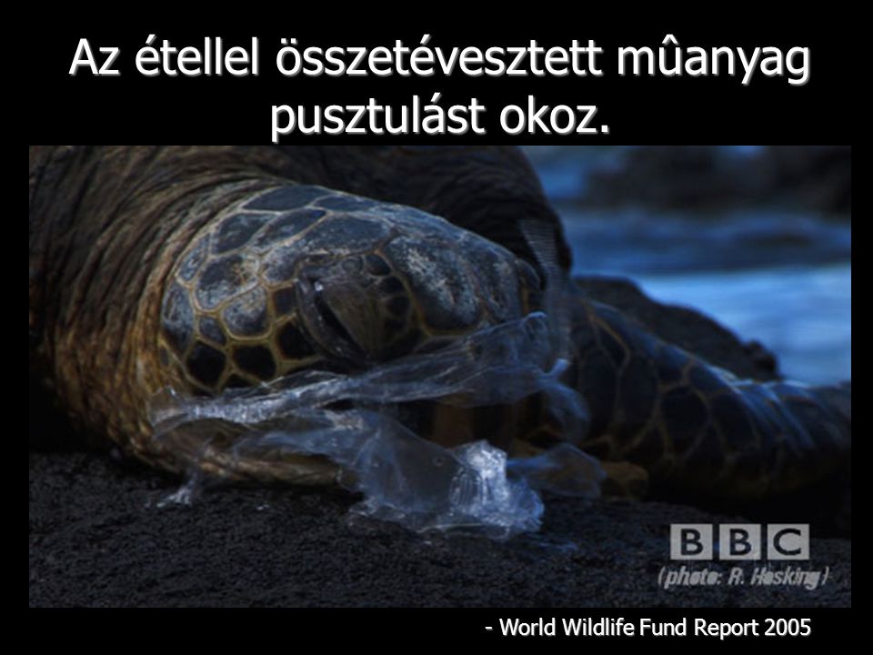 Az étellel összetévesztett mûanyag pusztulást okoz. - World Wildlife Fund Report 2005