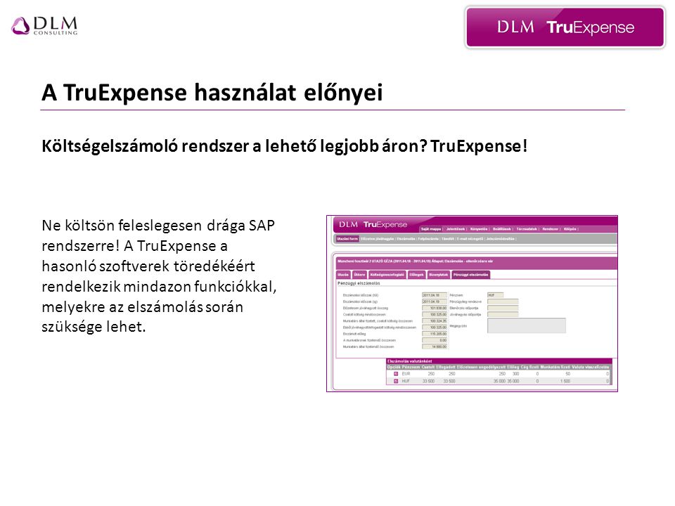 A TruExpense használat előnyei Ne költsön feleslegesen drága SAP rendszerre.
