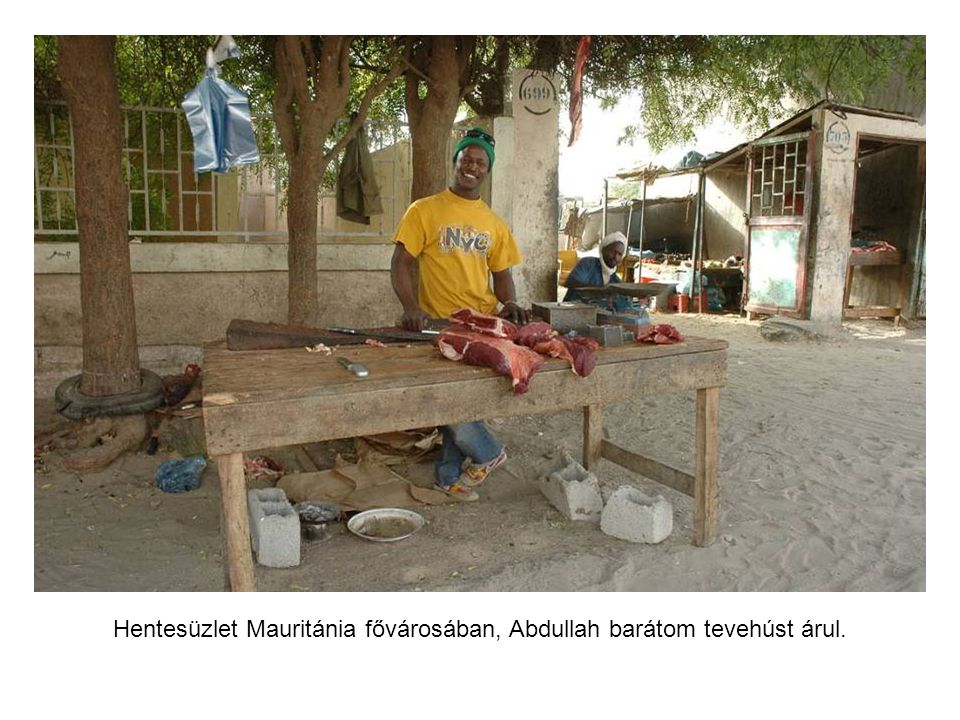 Mauritániában katonák vigyázták a táborunkat.