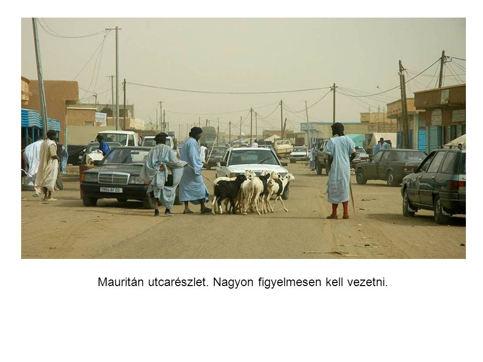 Hentesüzlet Mauritánia fővárosában, Abdullah barátom tevehúst árul.