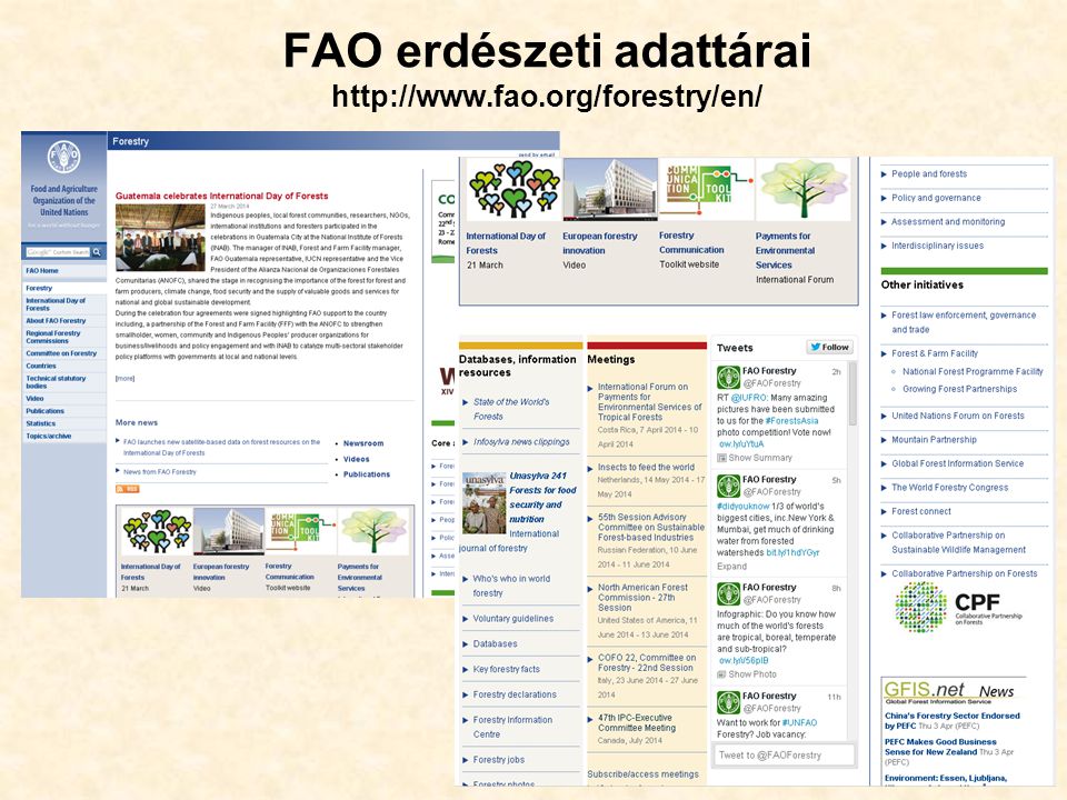 45 FAO erdészeti adattárai