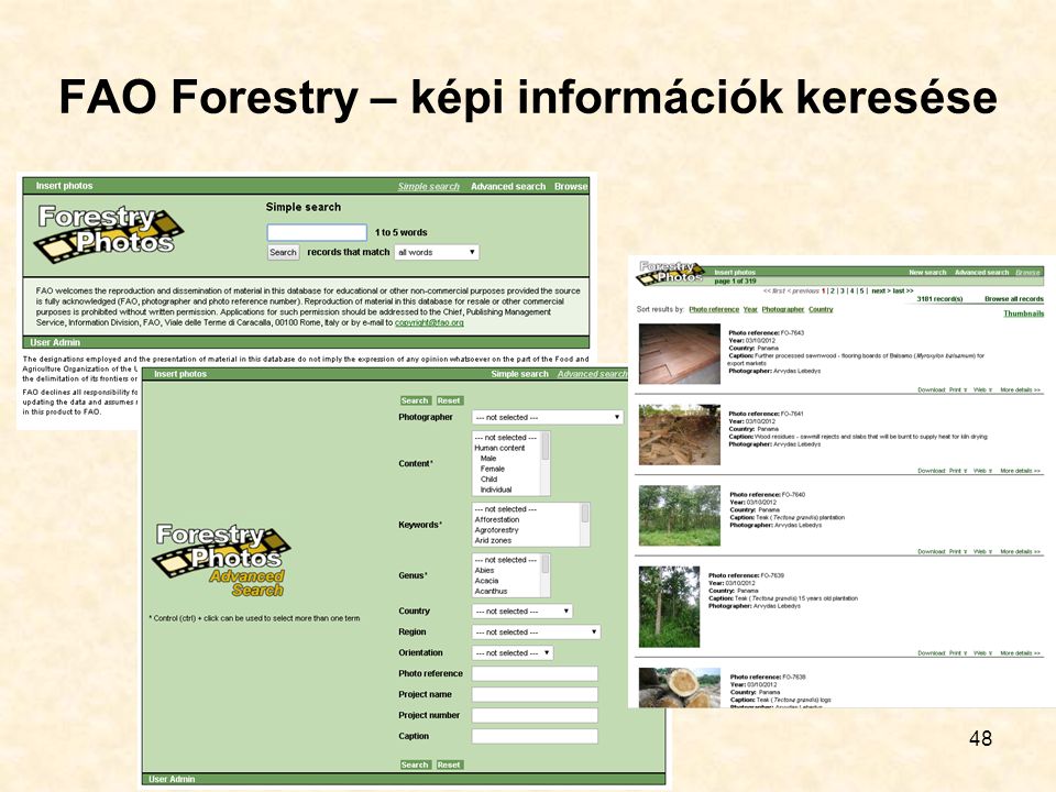 FAO Forestry – képi információk keresése 48